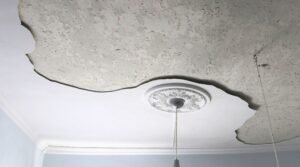 Repair Plaster Ceiling
