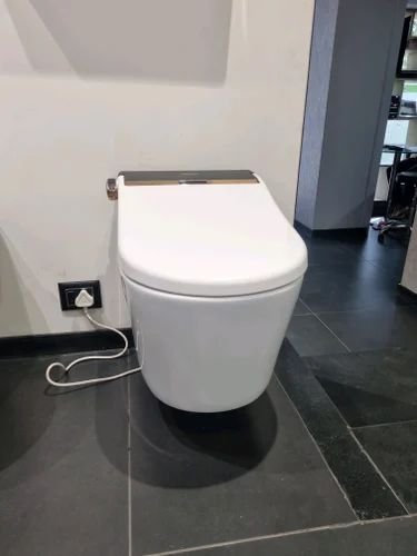 Toilet Seat & Tiles Replacement near me